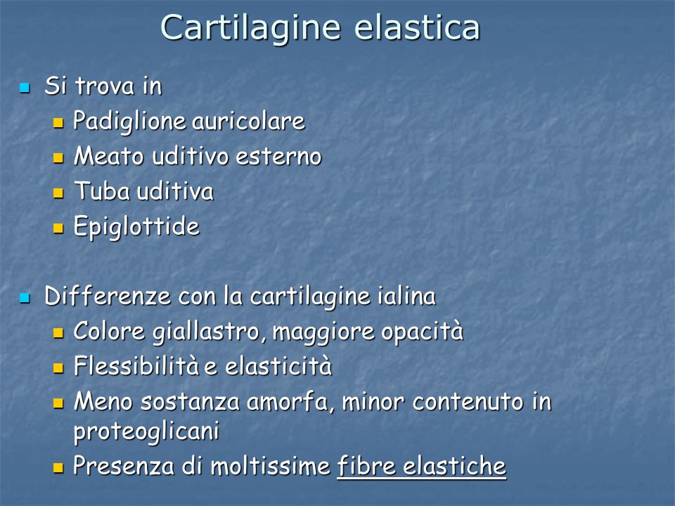 Cartilagine elastica Si trova in Padiglione auricolare