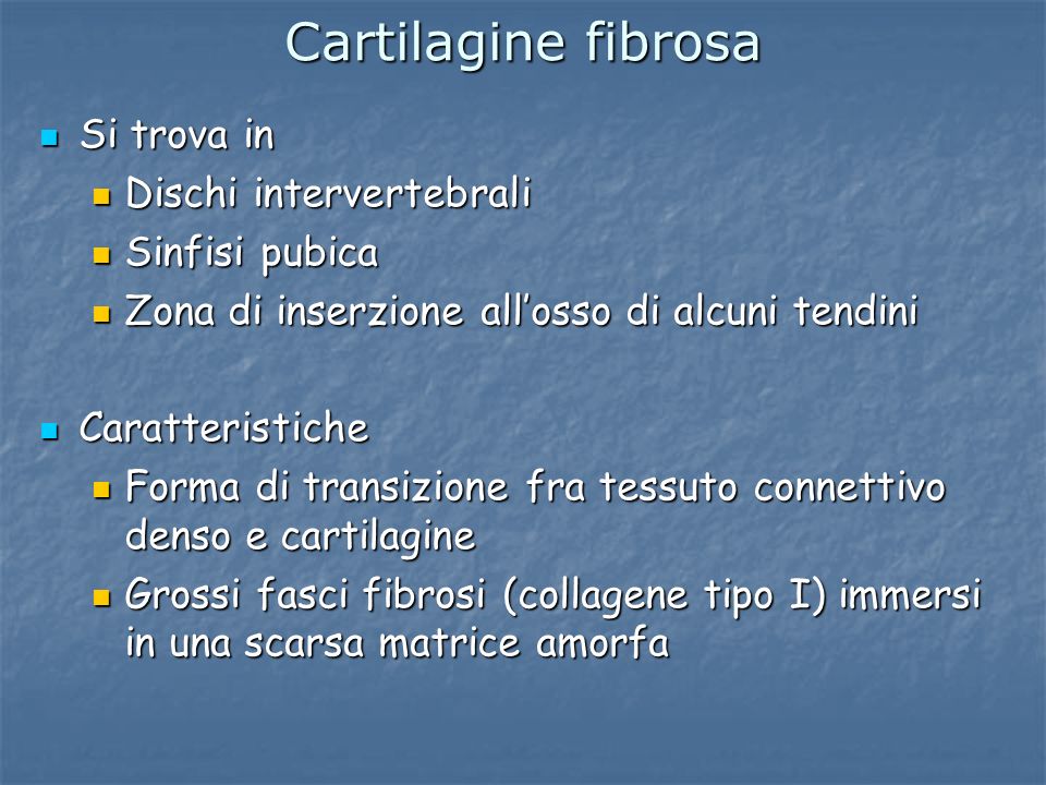 Cartilagine fibrosa Si trova in Dischi intervertebrali Sinfisi pubica