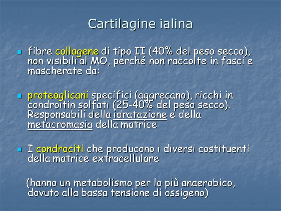 Cartilagine ialina fibre collagene di tipo II (40% del peso secco), non visibili al MO, perché non raccolte in fasci e mascherate da: