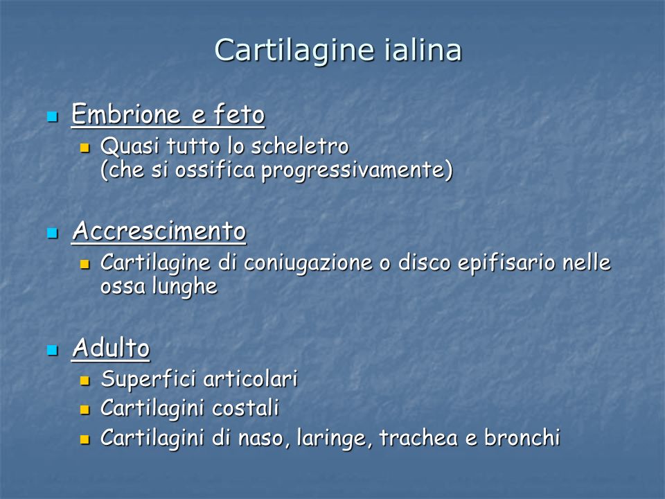 Cartilagine ialina Embrione e feto Accrescimento Adulto