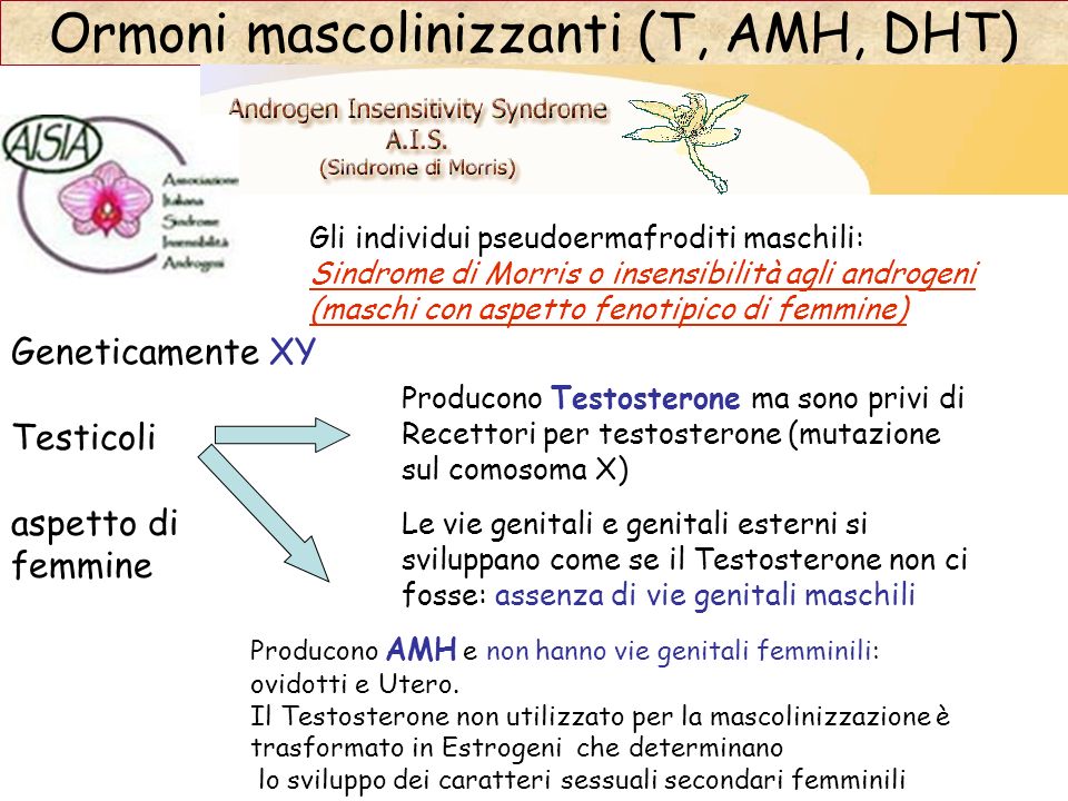 Ormoni mascolinizzanti (T, AMH, DHT)