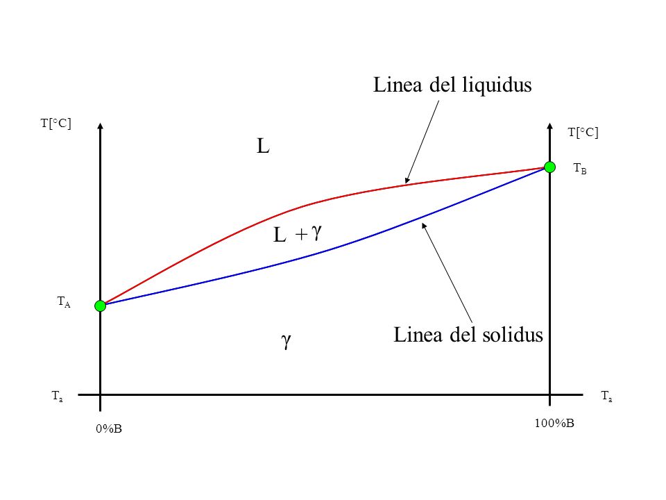 Linea del liquidus L γ L + γ Linea del solidus T[°C] T[°C] TB TA Ta Ta