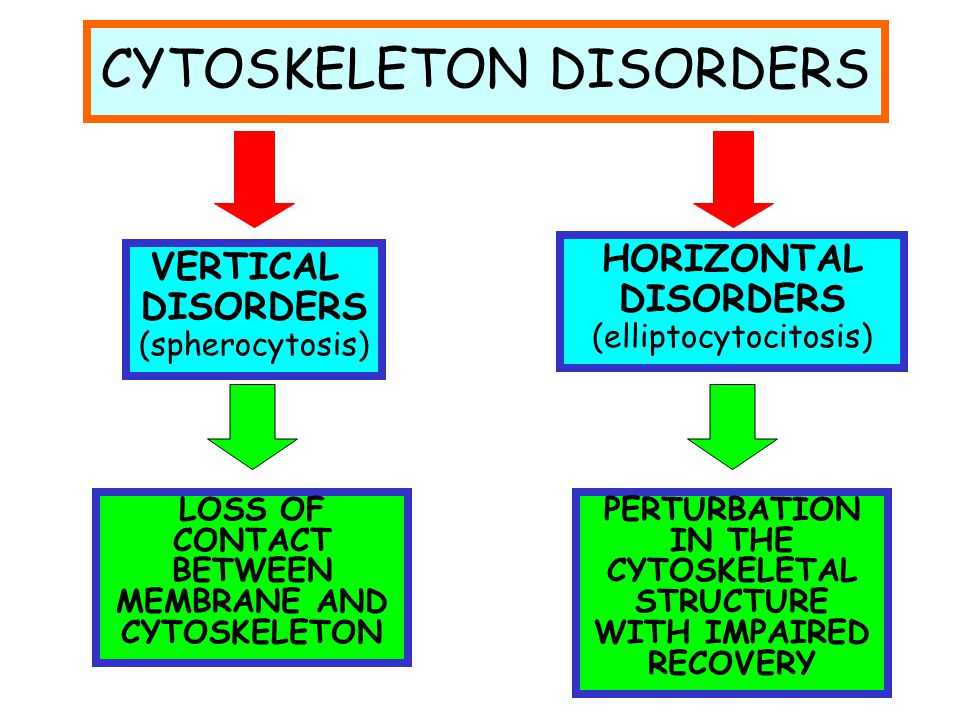CYTOSKELETON DISORDERS