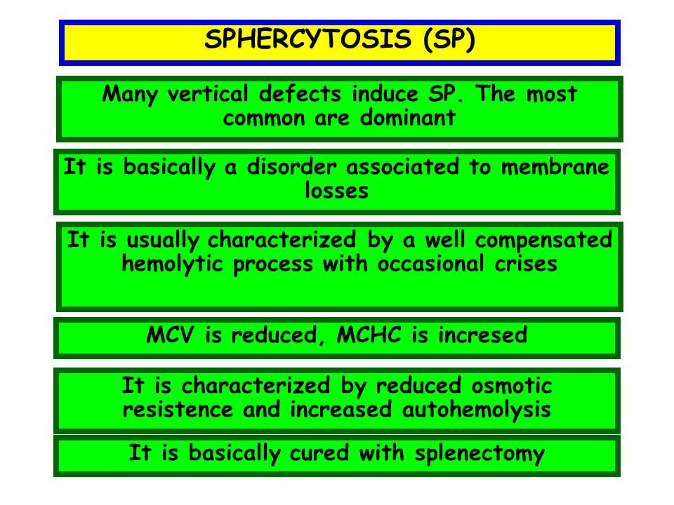 SPHERCYTOSIS (SP) Many vertical defects induce SP. The most common are dominant. It is basically a disorder associated to membrane losses.