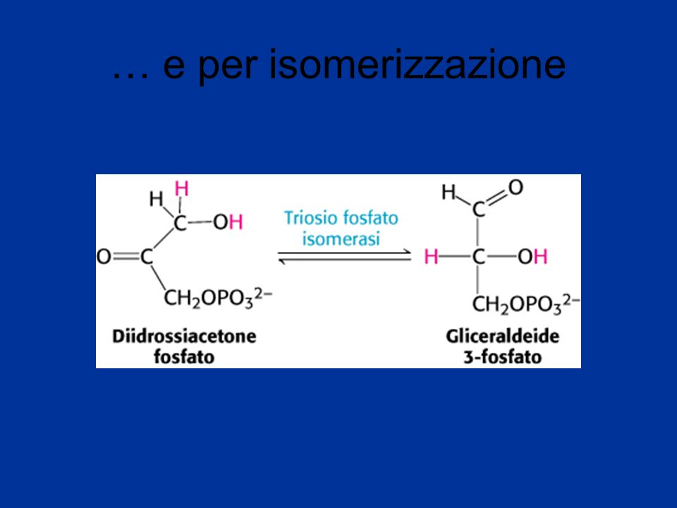 … e per isomerizzazione