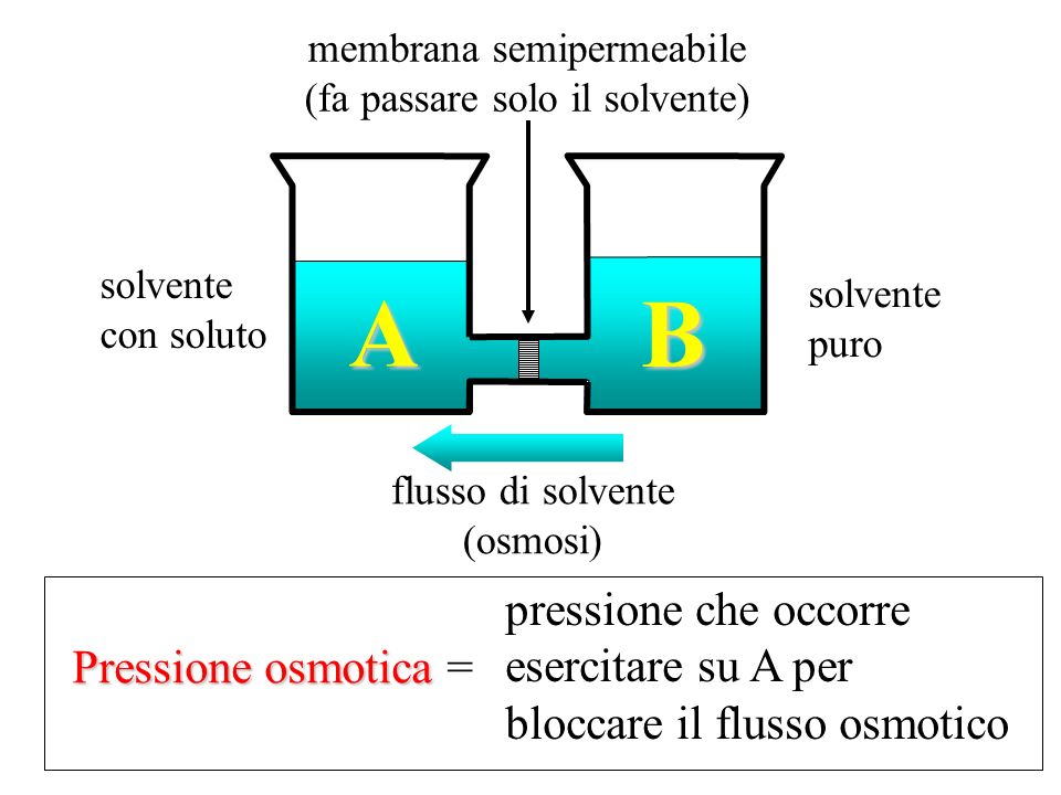 membrana semipermeabile