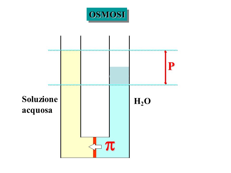 OSMOSI P Soluzione acquosa H2O p