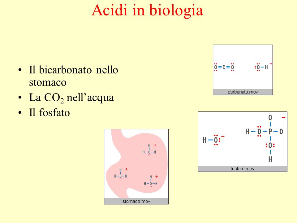 Acidi in biologia Il bicarbonato nello stomaco La CO2 nell’acqua