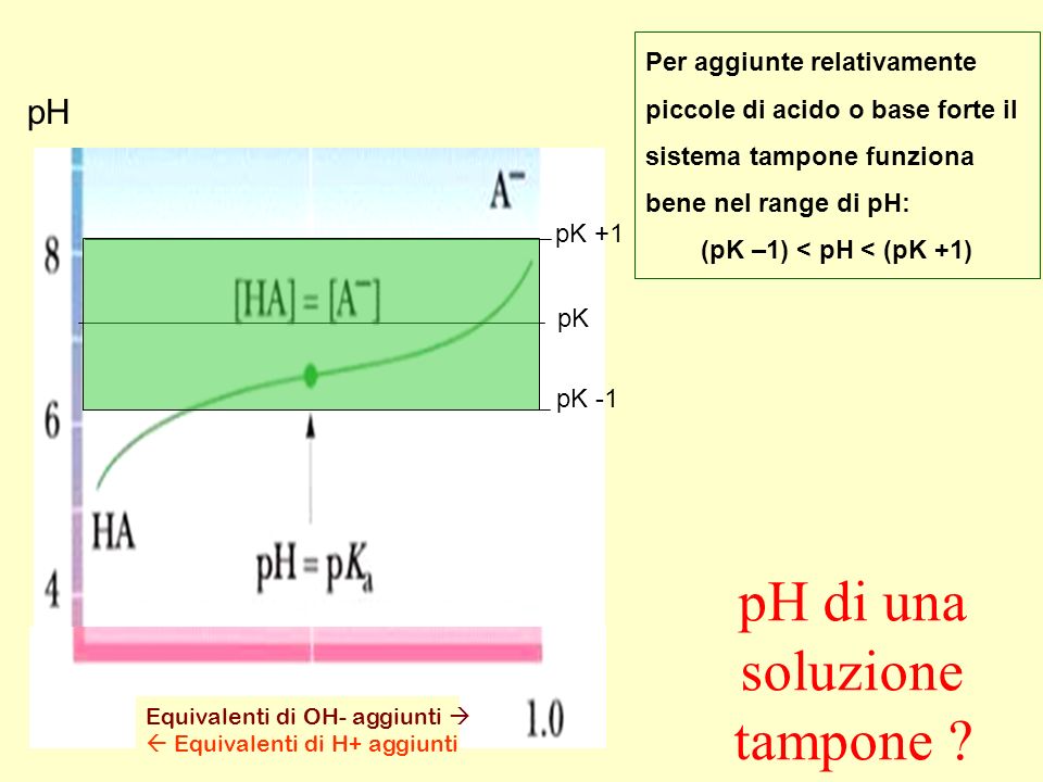 (pK –1) < pH < (pK +1)