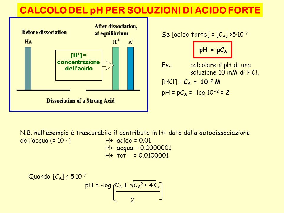 CALCOLO DEL pH PER SOLUZIONI DI ACIDO FORTE concentrazione dell’acido