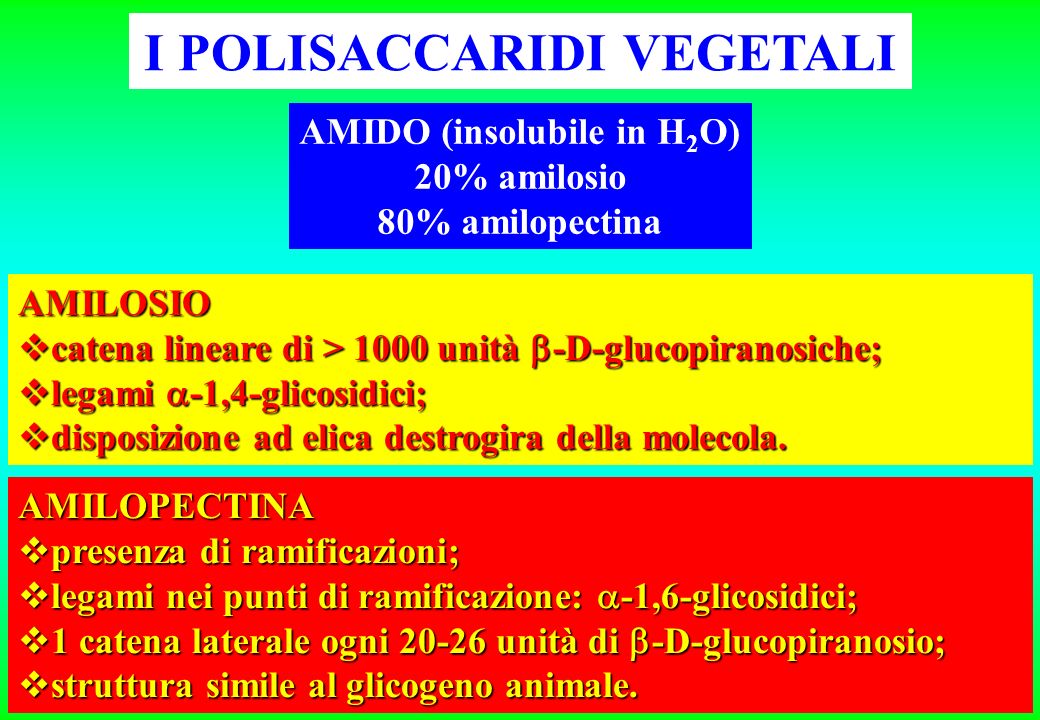 I POLISACCARIDI VEGETALI AMIDO (insolubile in H2O)