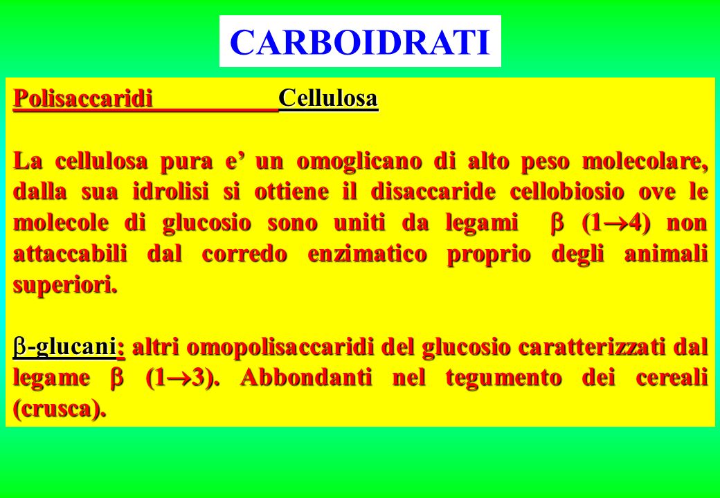 CARBOIDRATI Polisaccaridi Cellulosa