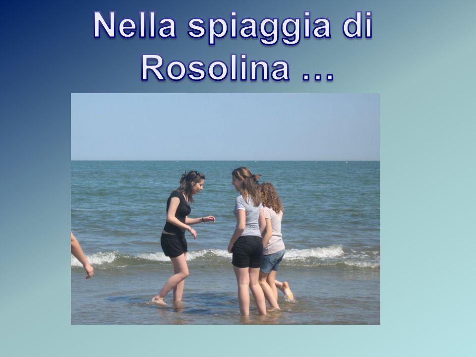 Nella spiaggia di Rosolina …