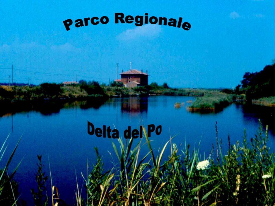 Parco Regionale Delta del Po