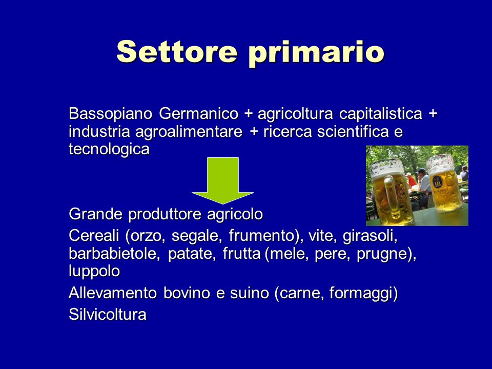 Settore primario Bassopiano Germanico + agricoltura capitalistica + industria agroalimentare + ricerca scientifica e tecnologica.