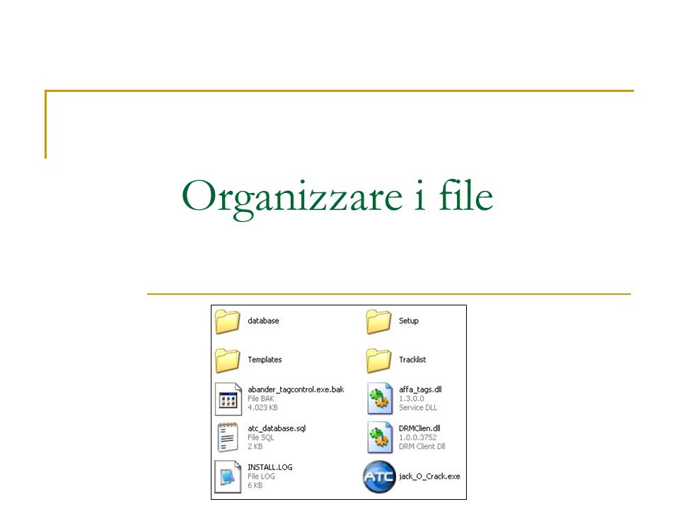Organizzare i file