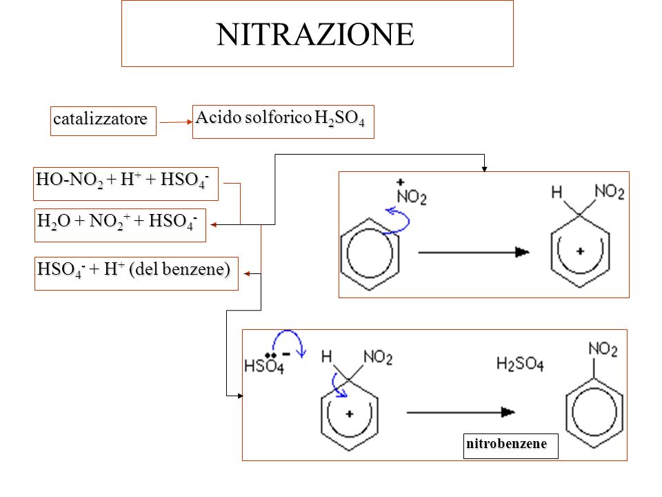 NITRAZIONE catalizzatore Acido solforico H2SO4 HO-NO2 + H+ + HSO4-