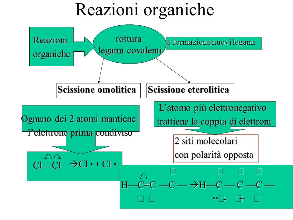 Reazioni organiche rottura legami covalenti Reazioni organiche
