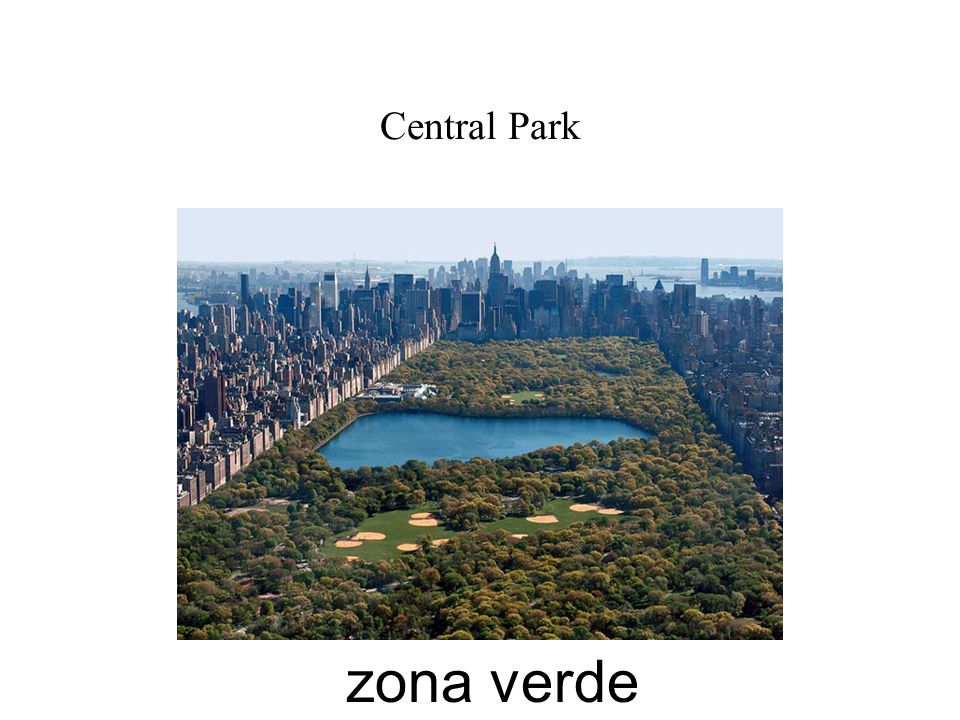 Central Park zona verde