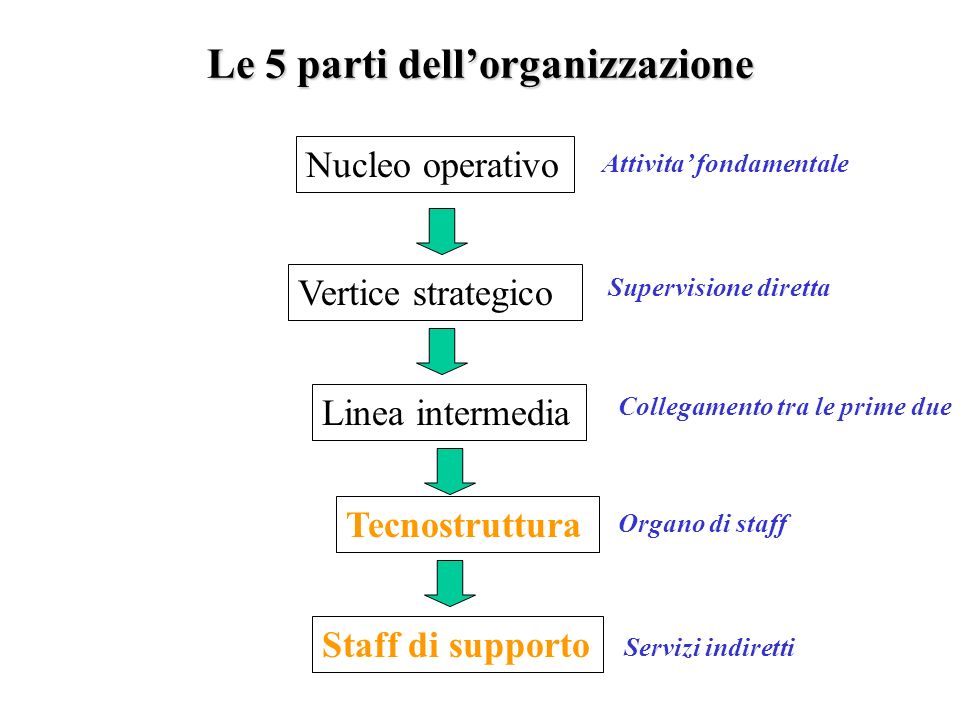 Le 5 parti dell’organizzazione