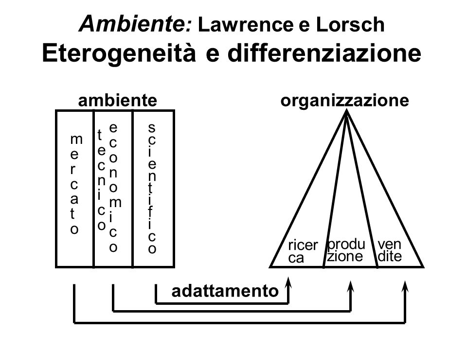 Ambiente: Lawrence e Lorsch Eterogeneità e differenziazione