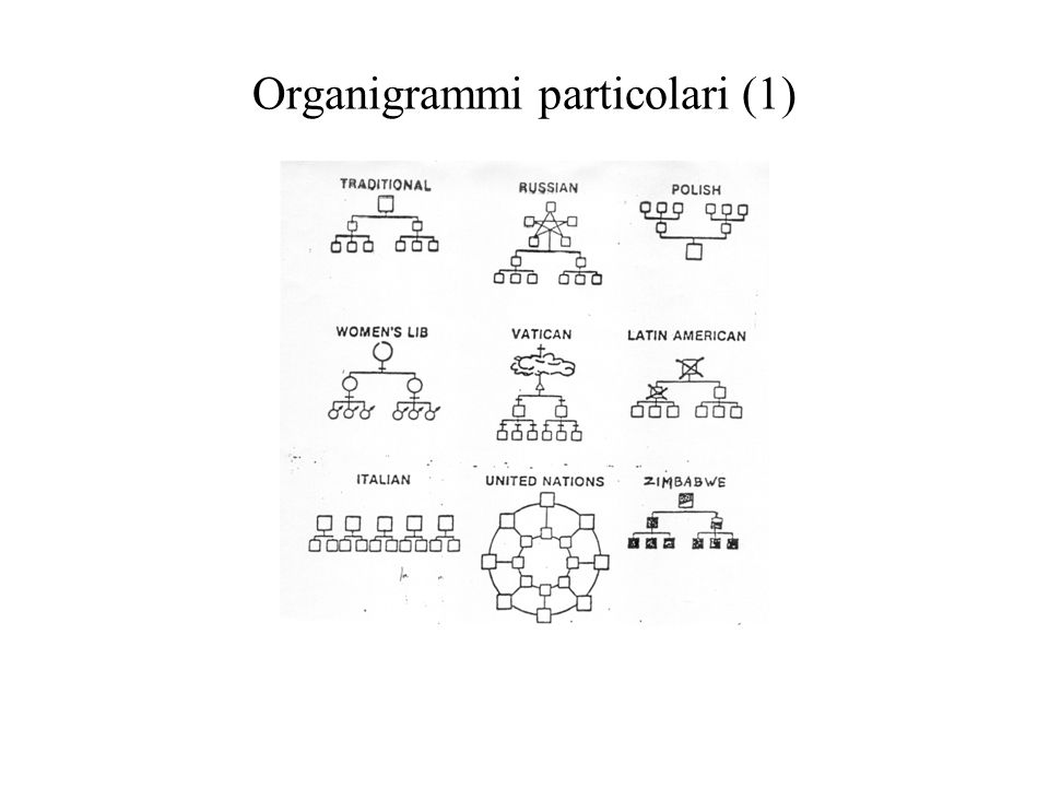 Organigrammi particolari (1)