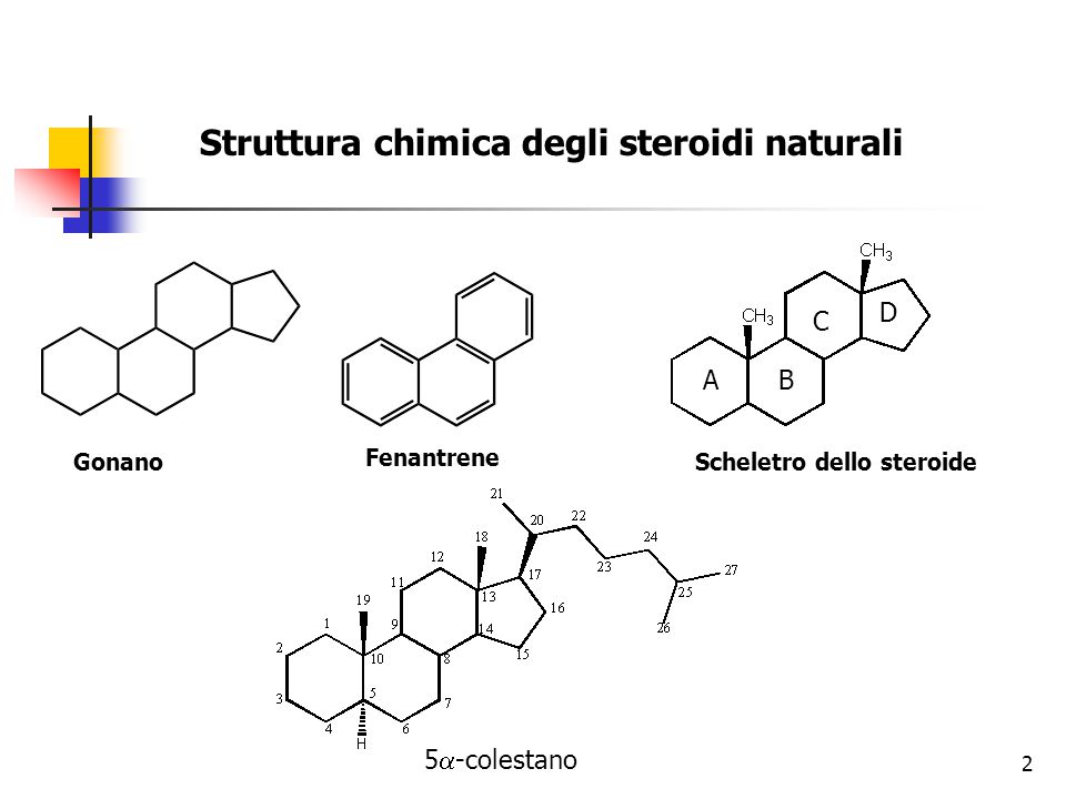 Ci ringrazierai - 10 suggerimenti sulla steroidi struttura chimica che devi conoscere