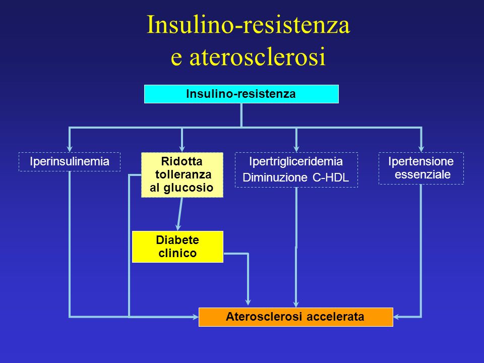 Insulino-resistenza e aterosclerosi