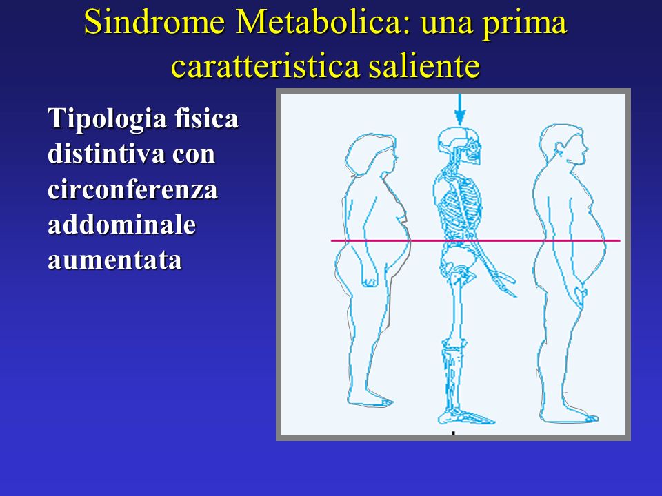 Sindrome Metabolica: una prima caratteristica saliente