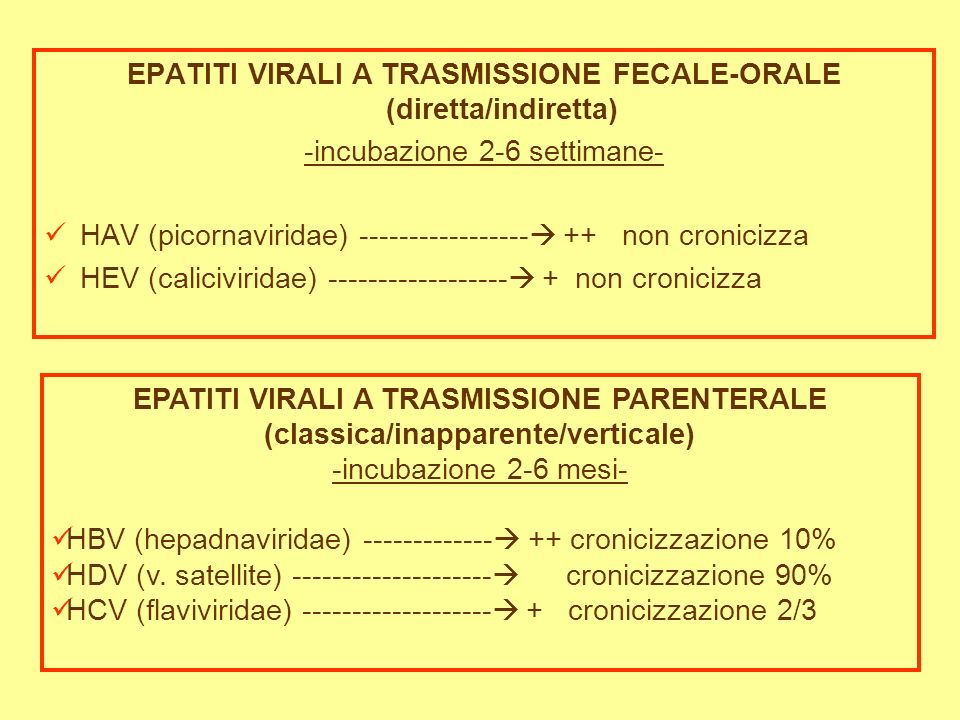 EPATITI VIRALI A TRASMISSIONE FECALE-ORALE (diretta/indiretta)