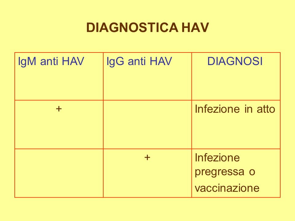 DIAGNOSTICA HAV IgM anti HAV IgG anti HAV DIAGNOSI + Infezione in atto