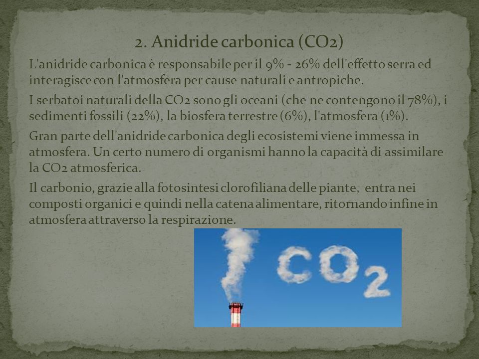 2. Anidride carbonica (CO2)