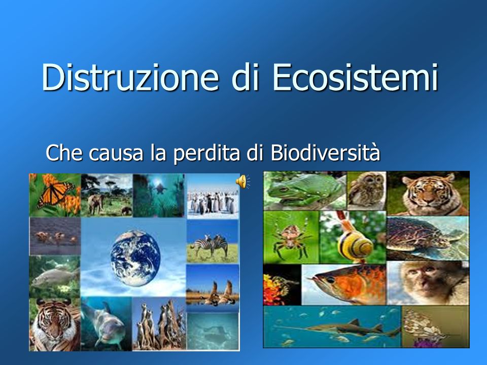 Distruzione di Ecosistemi