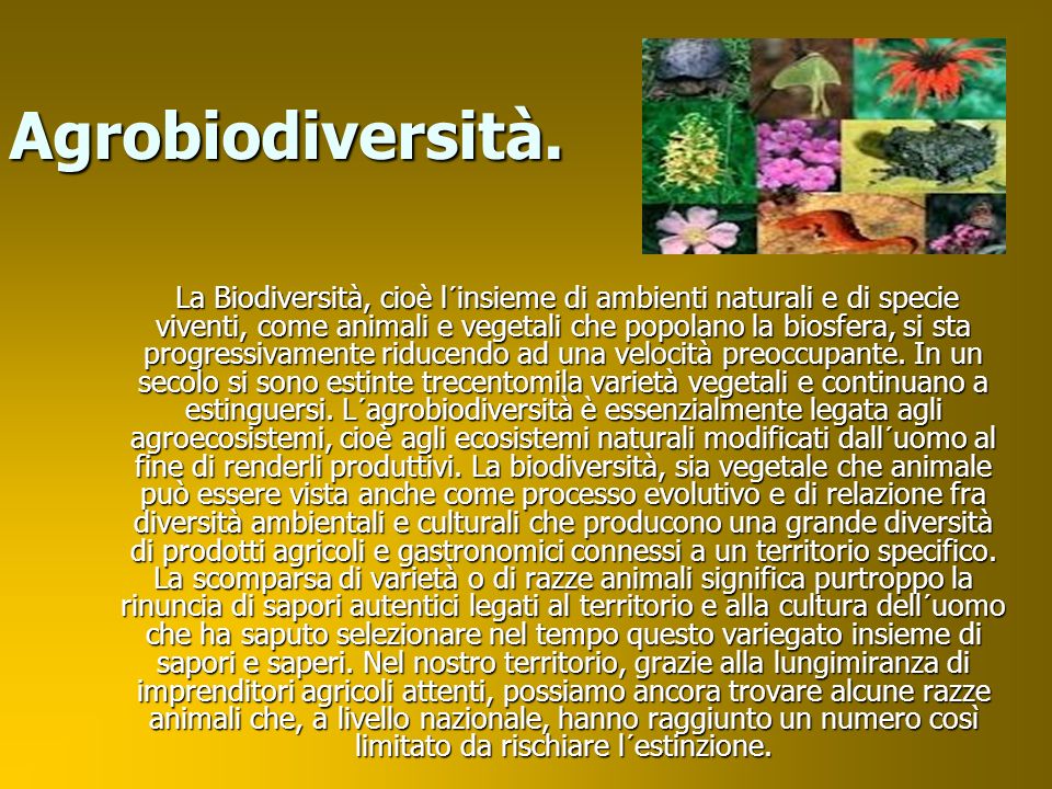 Agrobiodiversità.