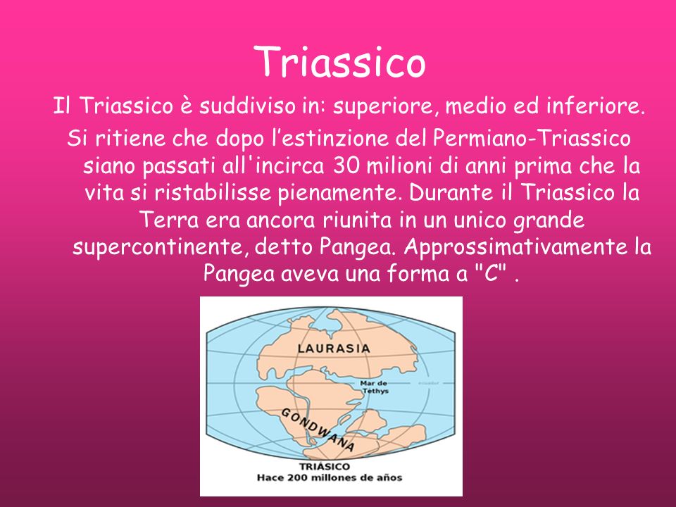 Il Triassico è suddiviso in: superiore, medio ed inferiore.