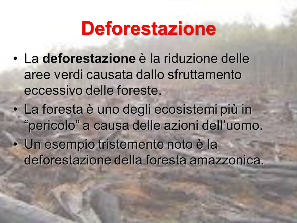 Deforestazione La deforestazione è la riduzione delle aree verdi causata dallo sfruttamento eccessivo delle foreste.