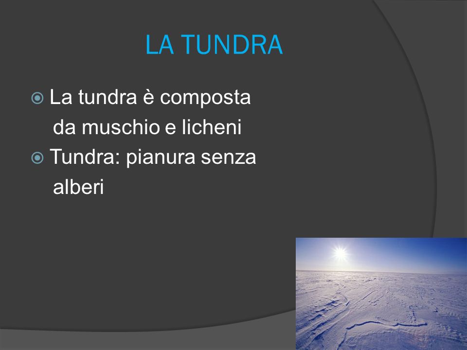 LA TUNDRA La tundra è composta da muschio e licheni