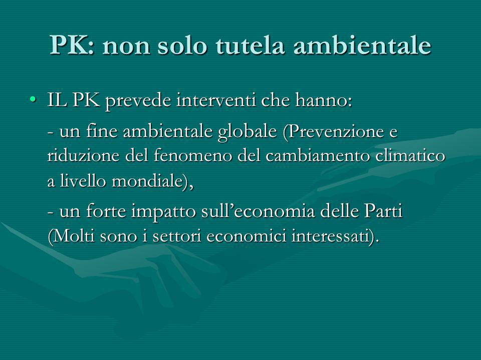 PK: non solo tutela ambientale
