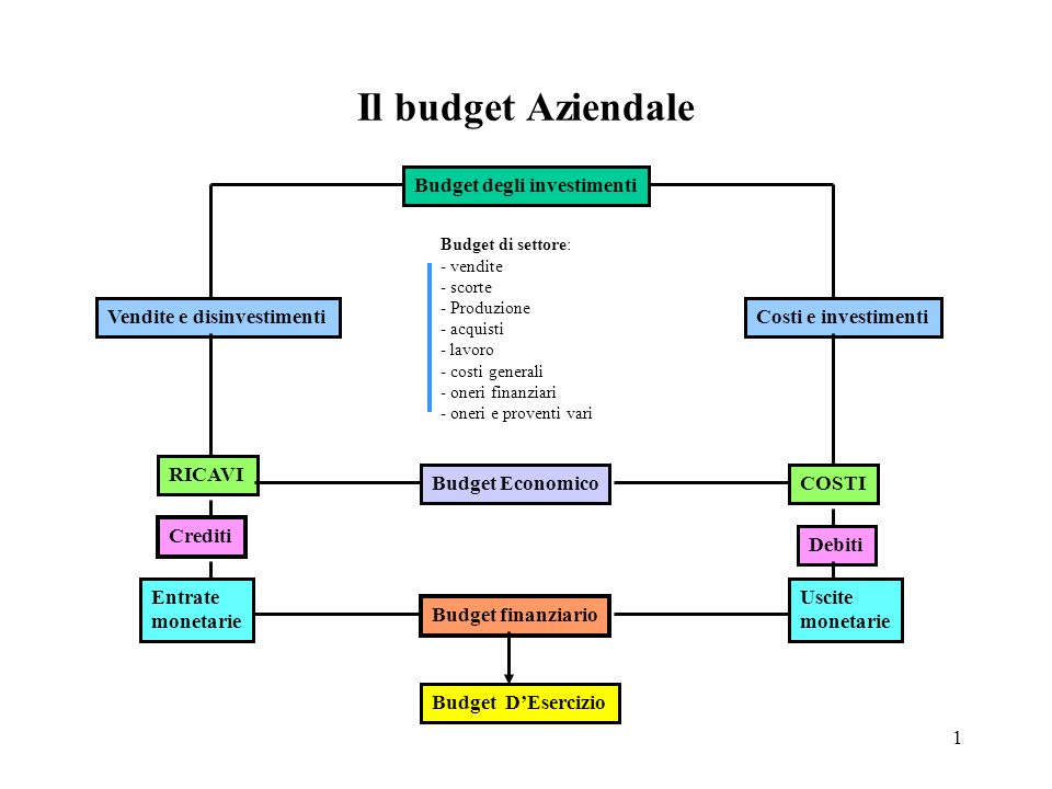 Il budget Aziendale Budget degli investimenti