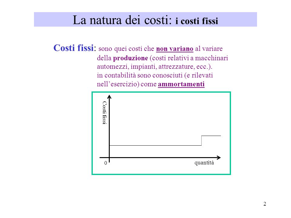 La natura dei costi: i costi fissi