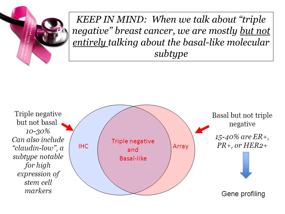 Triple Negative Phenotype and Basal-Like Expression Profile