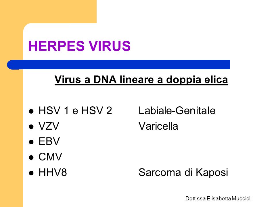 Virus a DNA lineare a doppia elica