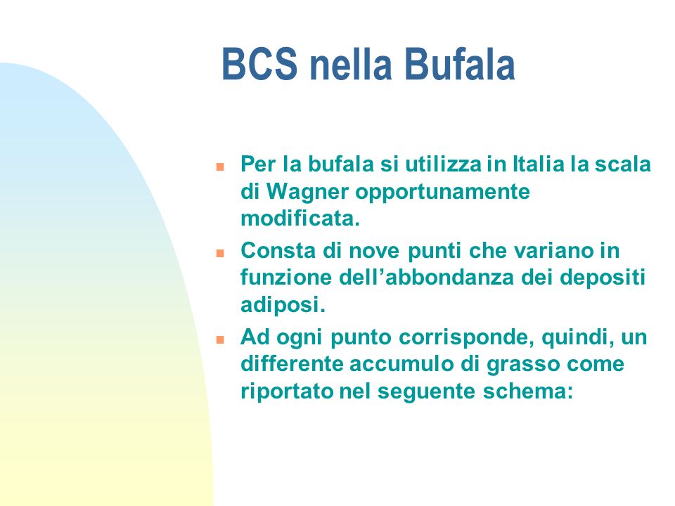 BCS nella Bufala Per la bufala si utilizza in Italia la scala di Wagner opportunamente modificata.
