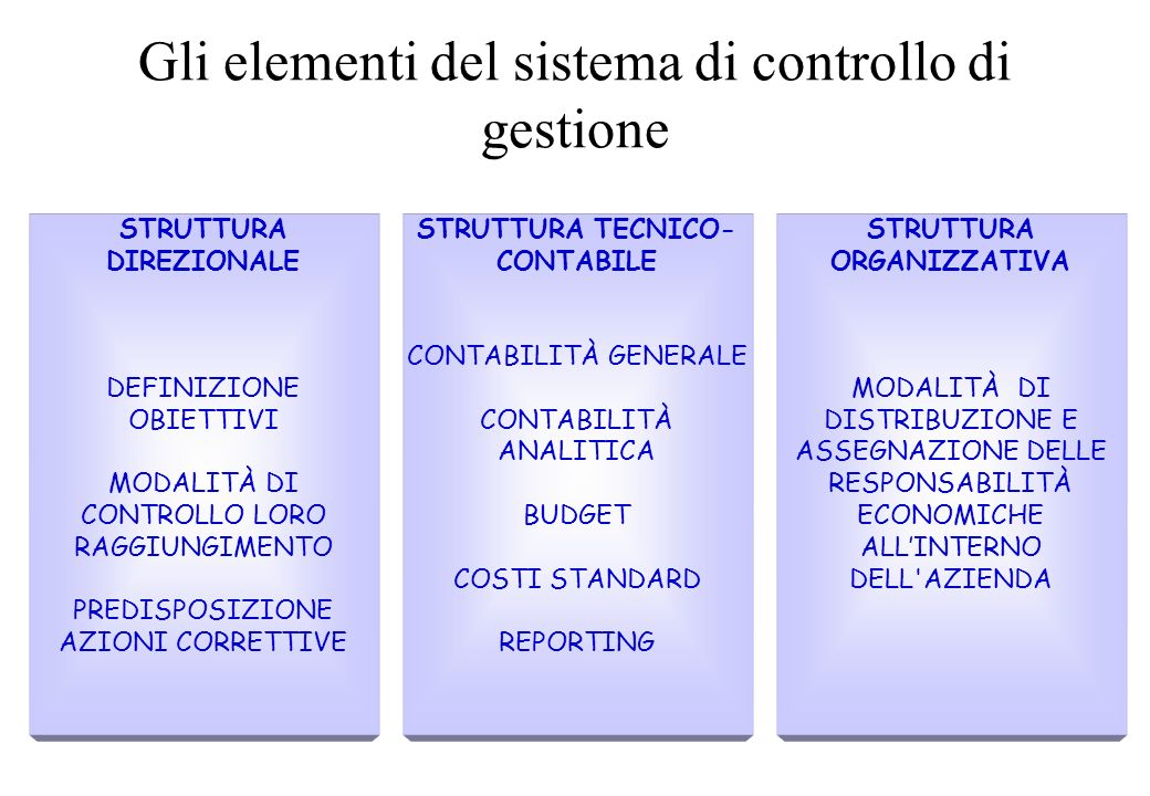Gli elementi del sistema di controllo di gestione