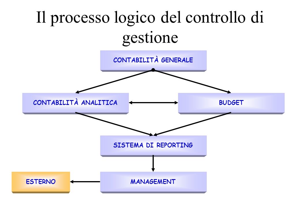 Il processo logico del controllo di gestione
