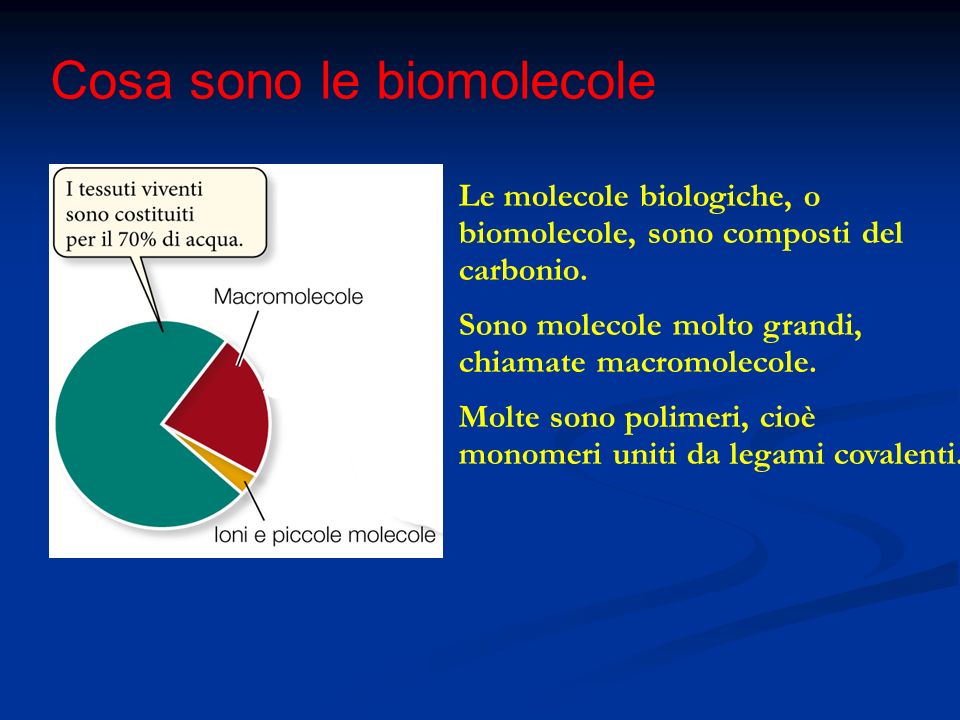Cosa sono le biomolecole