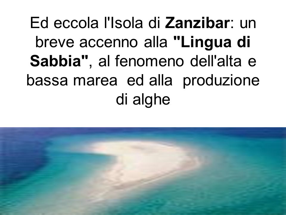 Ed eccola l Isola di Zanzibar: un breve accenno alla Lingua di Sabbia , al fenomeno dell alta e bassa marea ed alla produzione di alghe