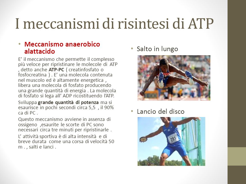 I meccanismi di risintesi di ATP