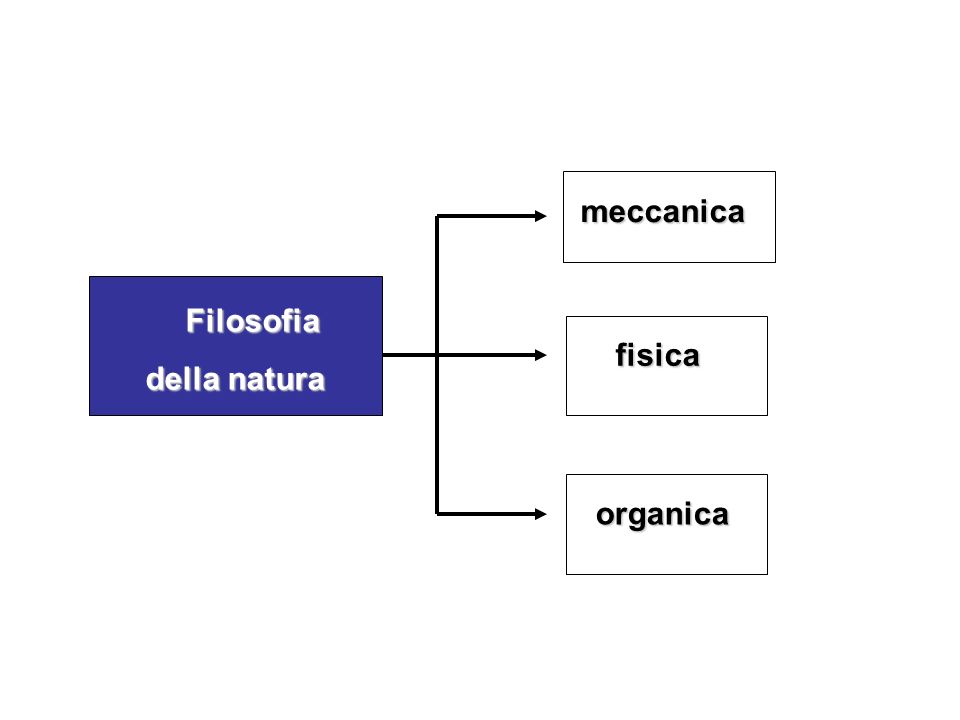 meccanica Filosofia della natura fisica organica