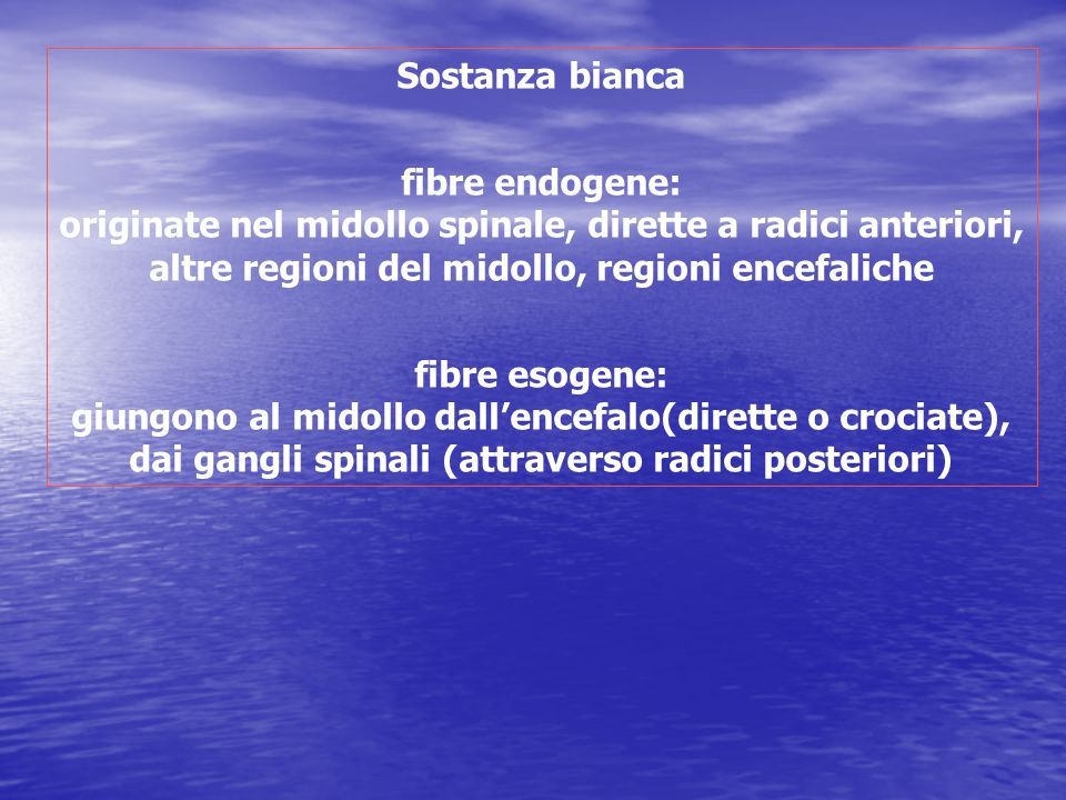 Sostanza bianca fibre endogene: originate nel midollo spinale, dirette a radici anteriori, altre regioni del midollo, regioni encefaliche.